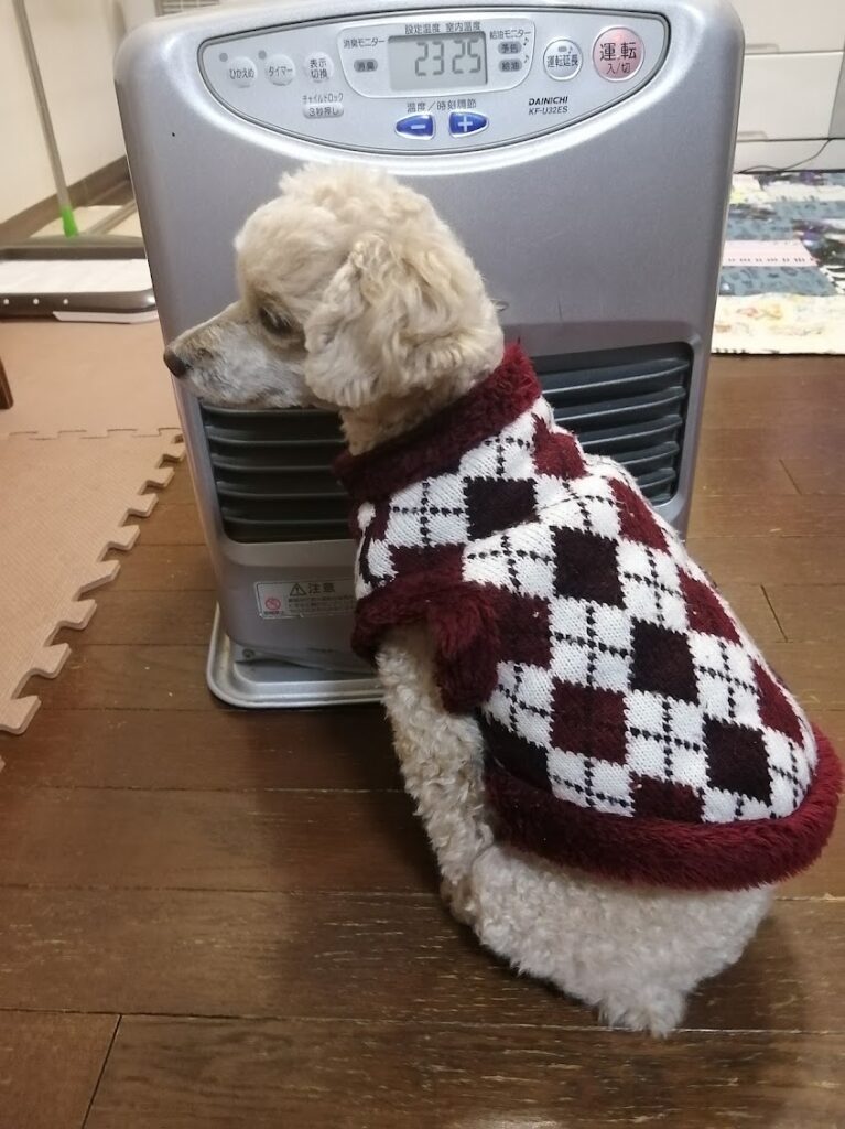 ストーブで暖まるペット